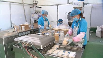 河北 提升產地初加工水平，助力農產品提質增效與優價